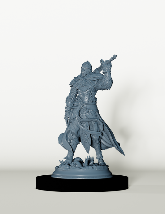 Guerrier Elfe du Soleil