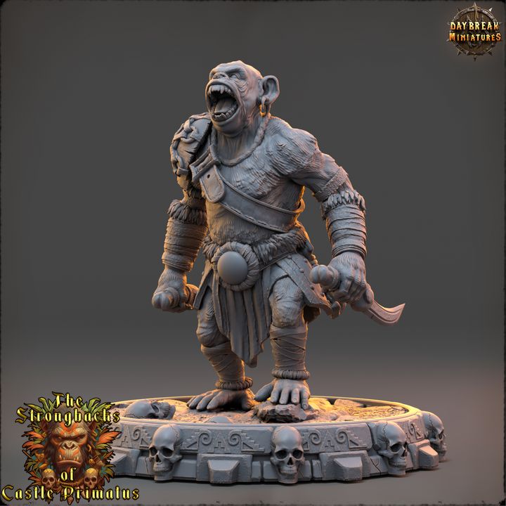 Set Guerriers primates