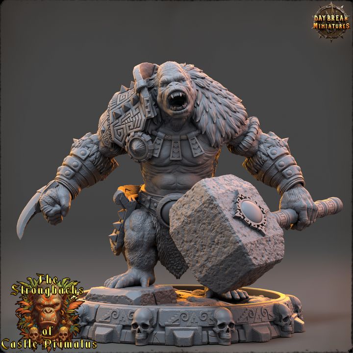Set Guerriers primates