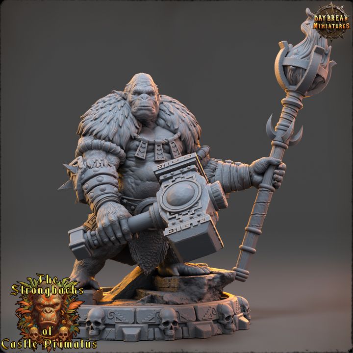 Set Guerriers primates