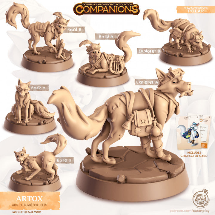 Compagnon renard Arctique