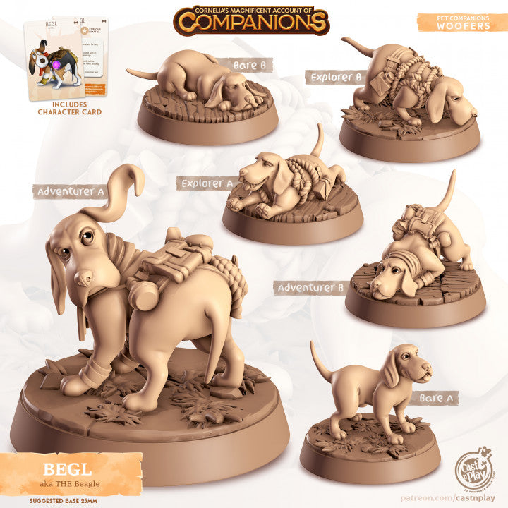 Compagnon beagle