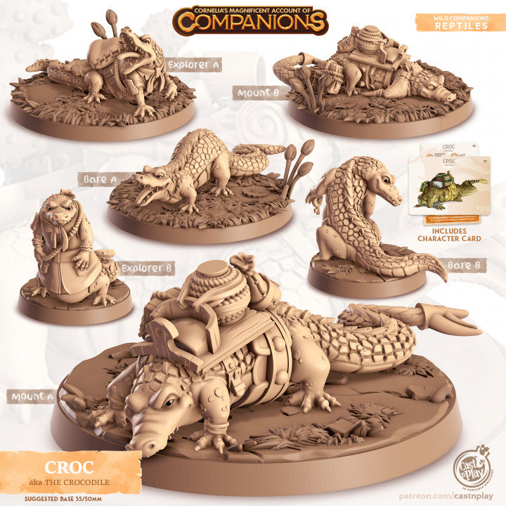 Compagnon crocodile