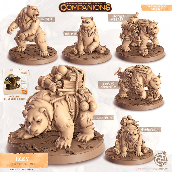 Compagnon ours