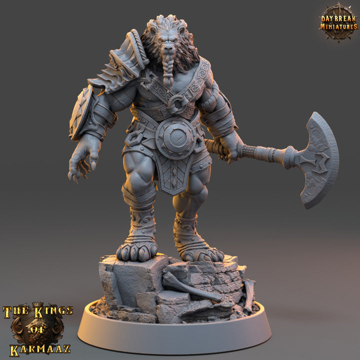 Set Guerriers Leonin