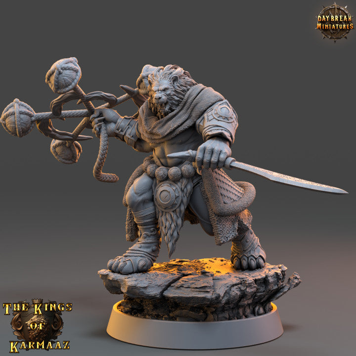 Set Guerriers Leonin