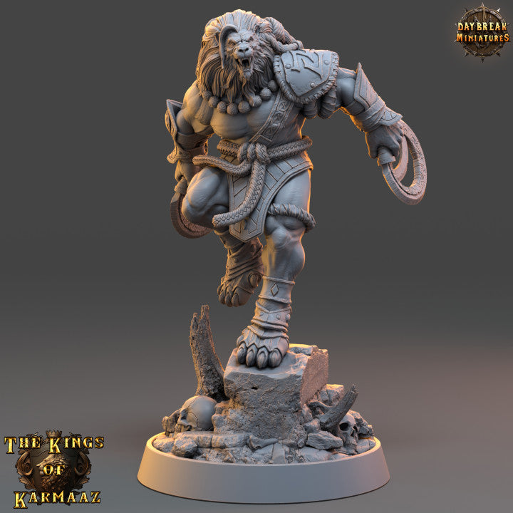 Set Guerriers Leonin