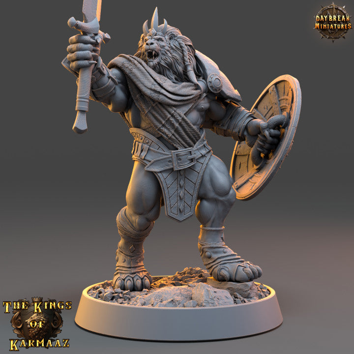 Set Guerriers Leonin