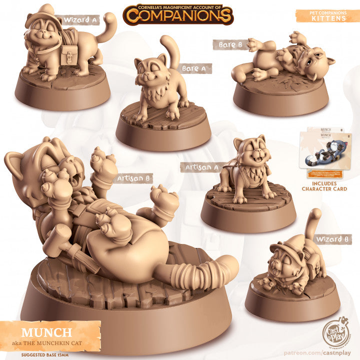 Compagnon chat munchkin