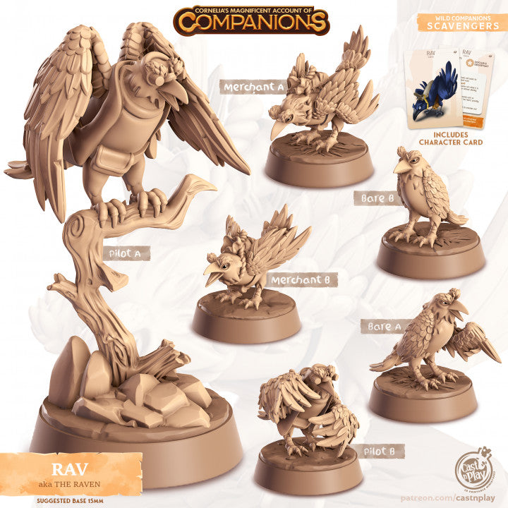 Compagnon corbeau