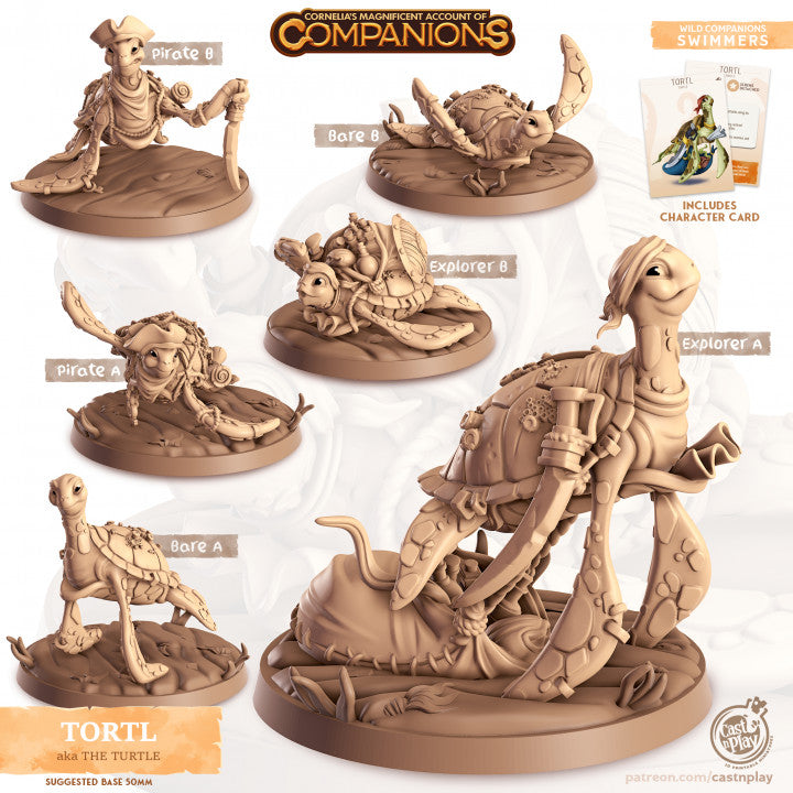Compagnon tortue