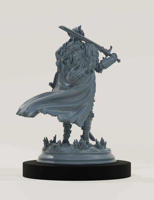 Guerrière Demi-Elfe