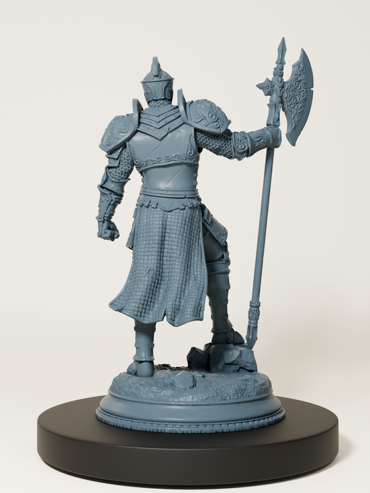 Chevalier de la tour