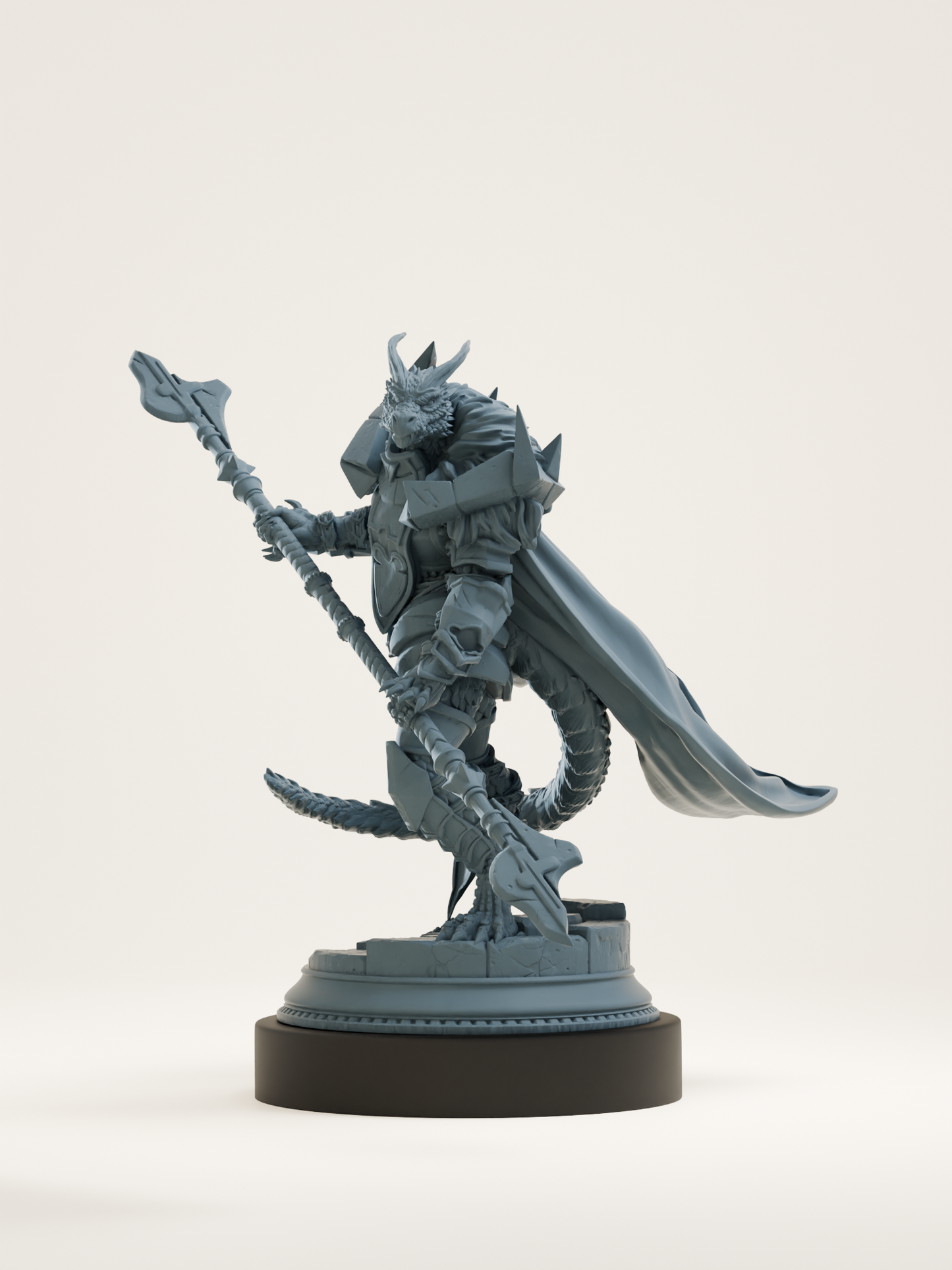 Paladin draconique