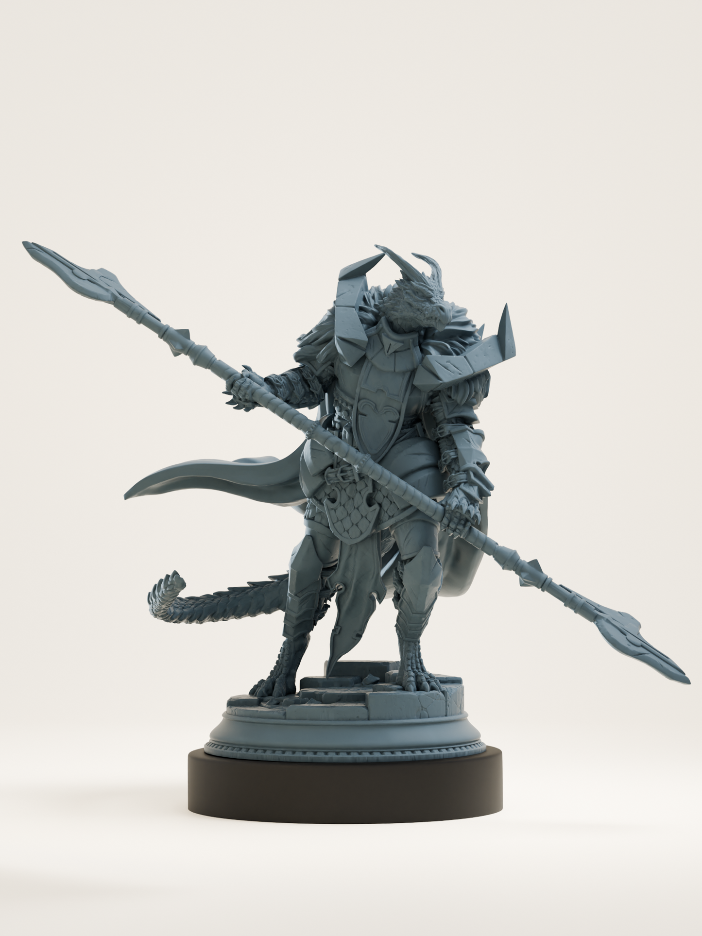 Paladin draconique