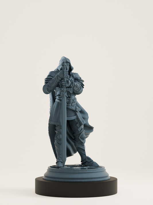 Chevalier sans visage