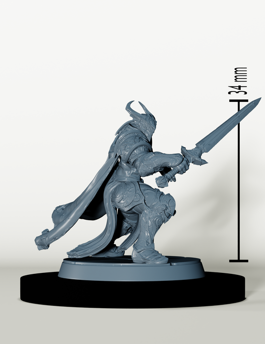 Chevaliers de Bahamut