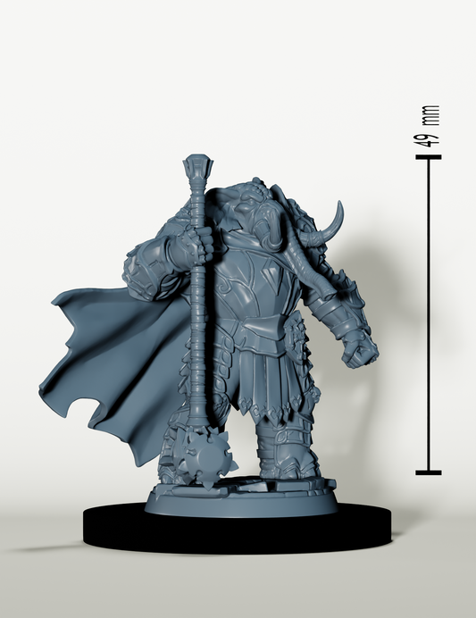 Set Sentinelles d'ivoire - Héros Éléphant folk