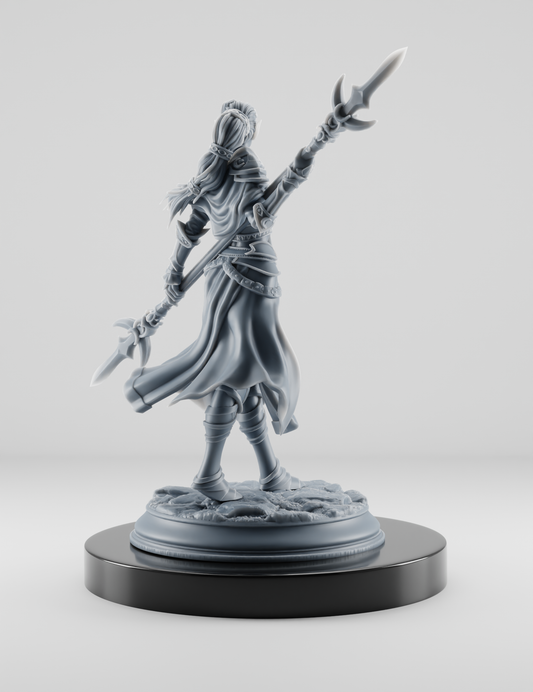 Elfe Paladin Femme Épée Double