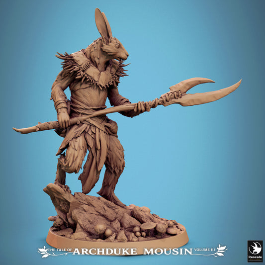 Set guerriers lapins