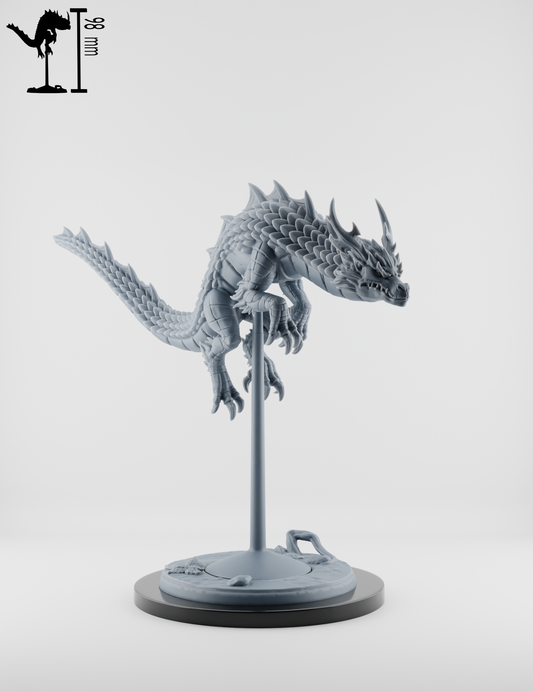 Set Dragons Spirituels : Gardiens du Temple