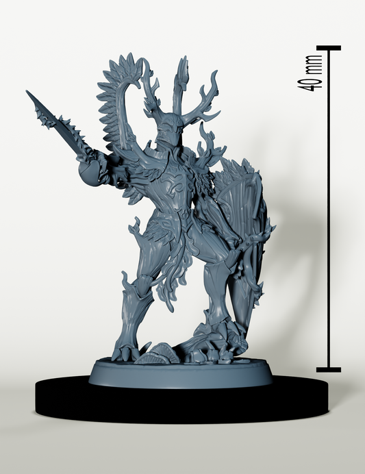 Set Héros de la Forêt