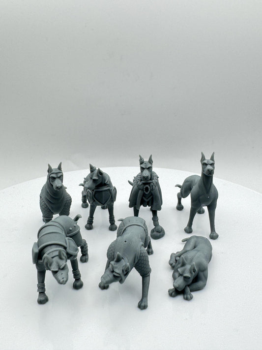 Compagnon chien Dobermann