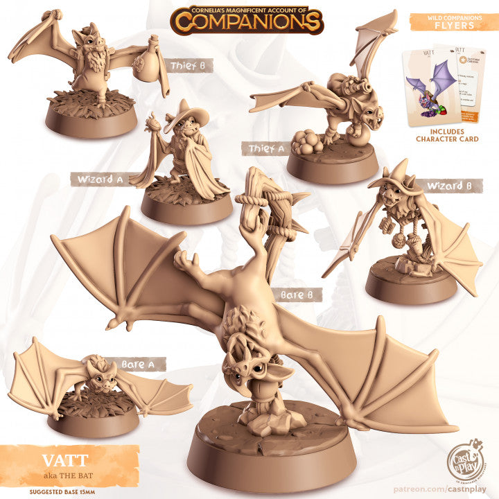 Compagnon chauve souris