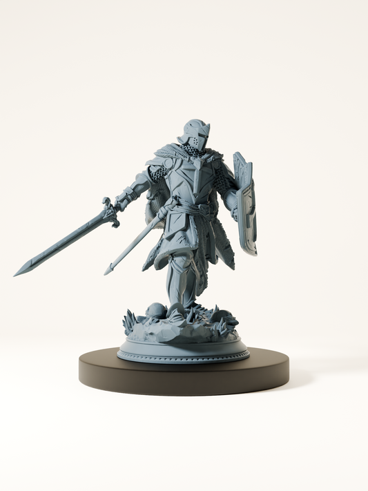 Paladin maudit
