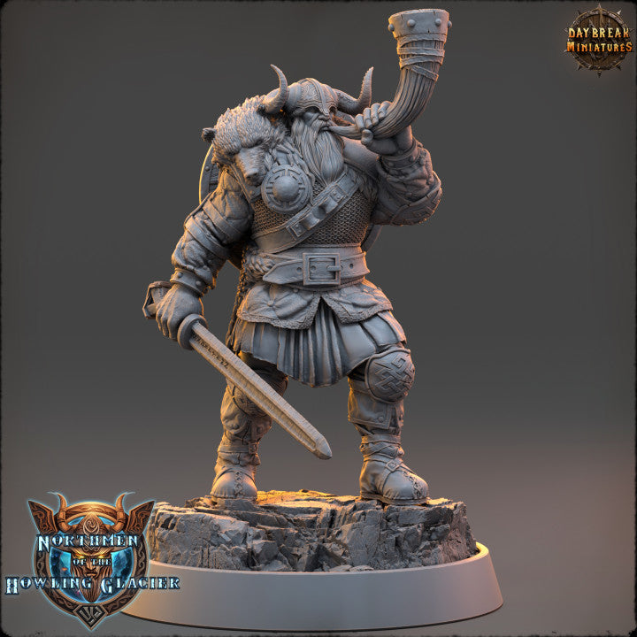 Set guerriers nordiques 3