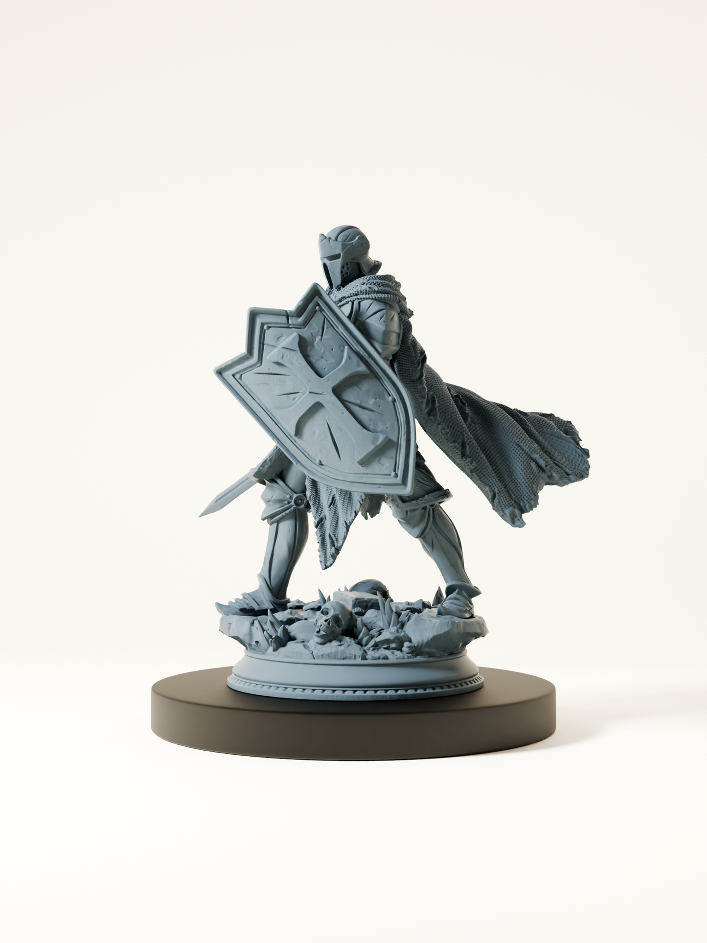 Paladin maudit