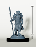 Chevalier Demi-Orc - Gardien de l'Ordre
