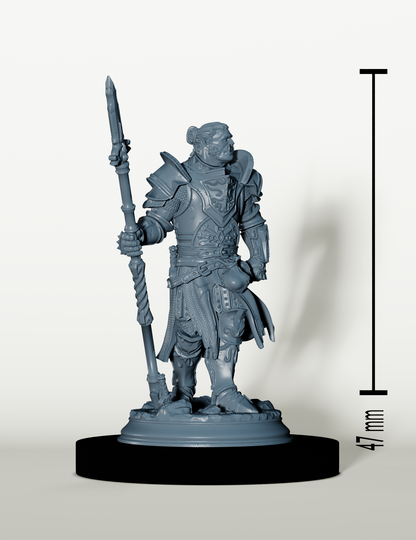 Chevalier Demi-Orc - Gardien de l'Ordre