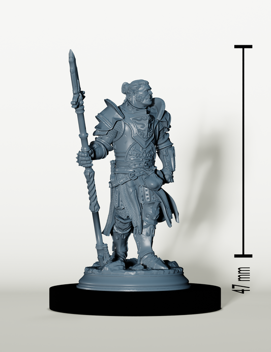 Chevalier Demi-Orc - Gardien de l'Ordre