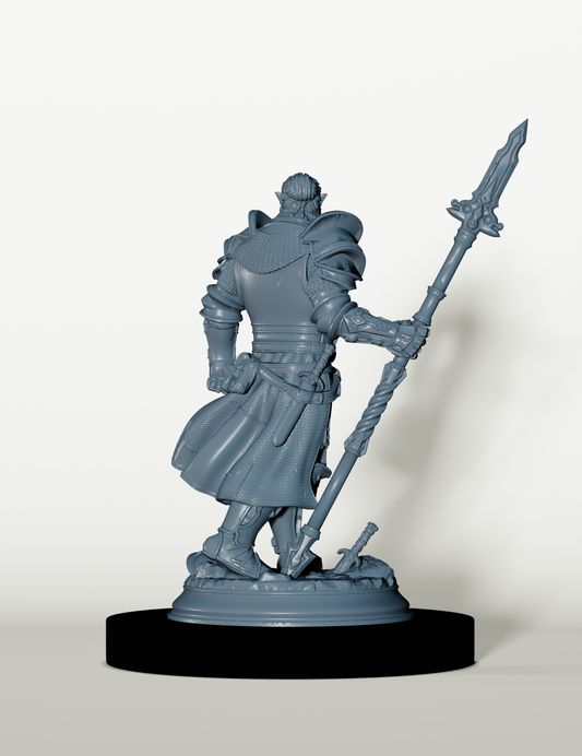 Chevalier Demi-Orc - Gardien de l'Ordre