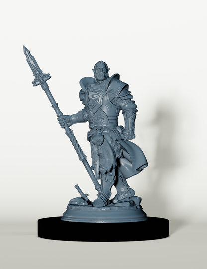 Chevalier Demi-Orc - Gardien de l'Ordre