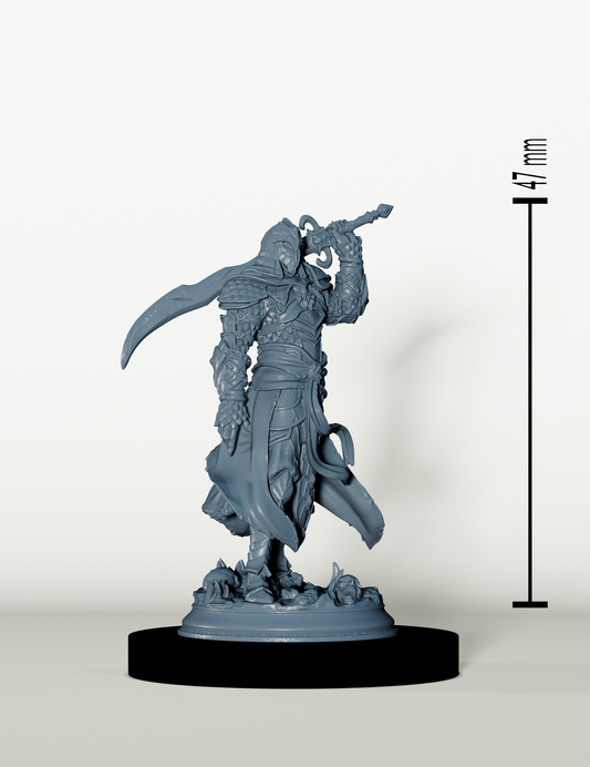 Guerrier Elfe du Soleil