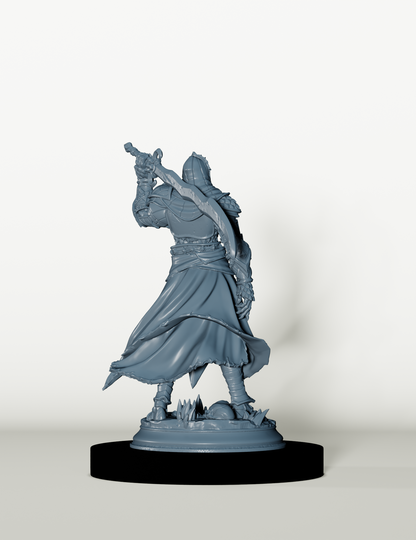 Guerrier Elfe du Soleil