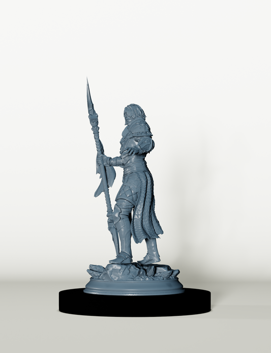 Paladin du Soleil Noir