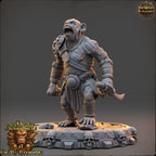 Set Guerriers primates