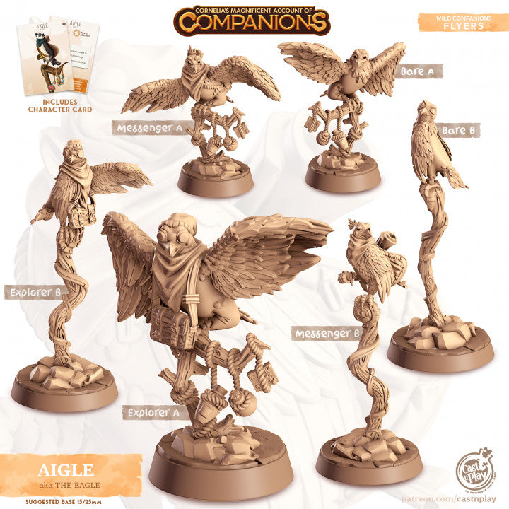 Compagnon aigle