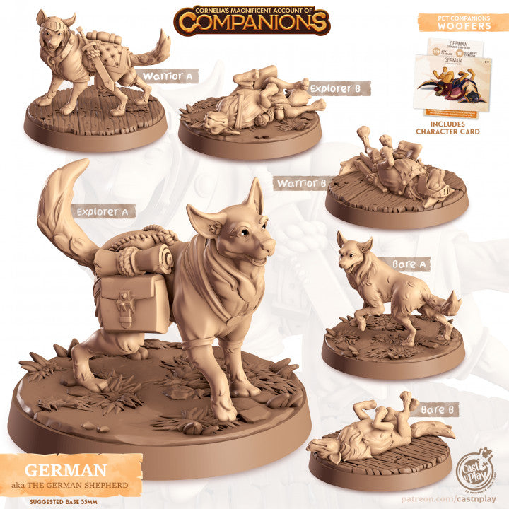Compagnon chien berger allemand