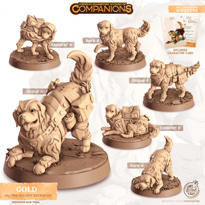 Compagnon chien golden retriever