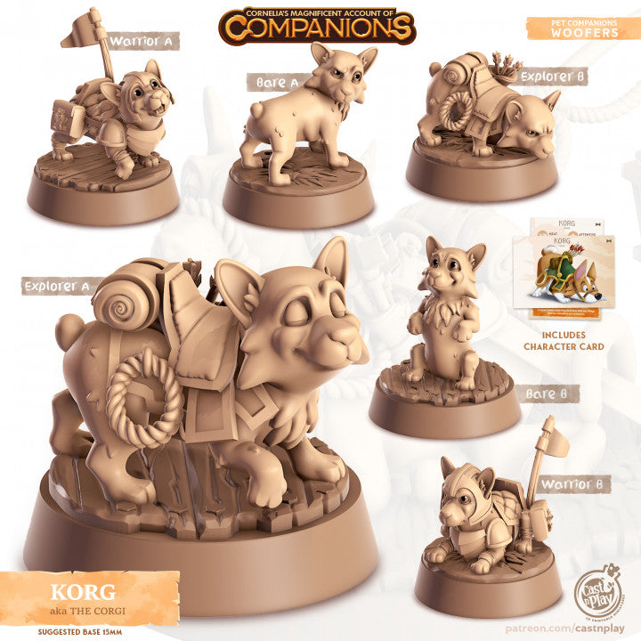 Compagnon chien corgi