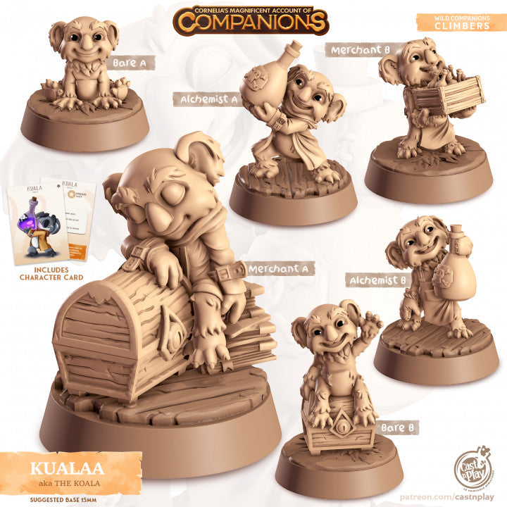 Compagnon koala