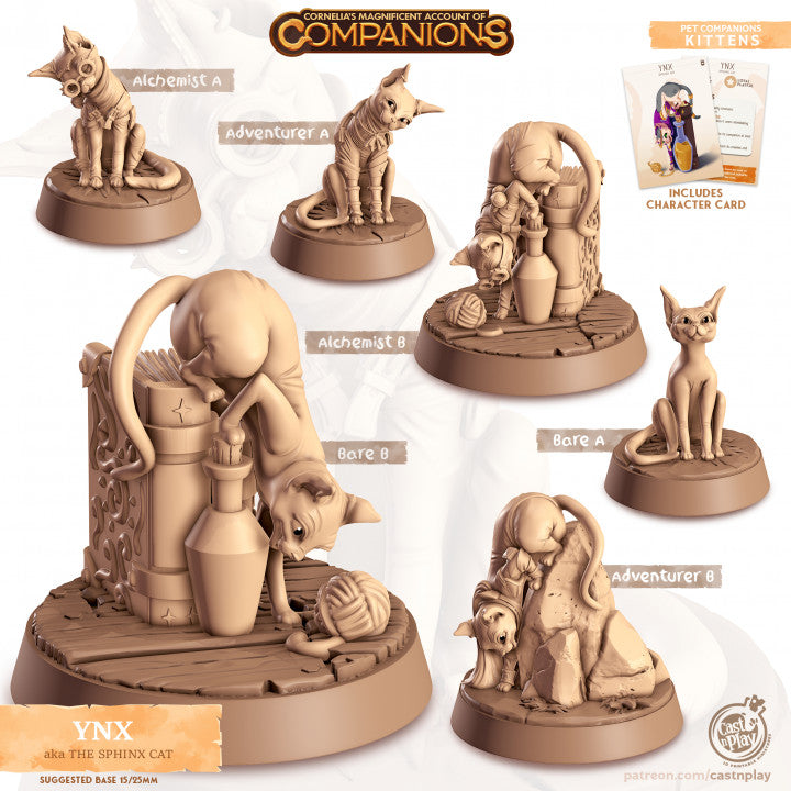 Compagnon chat sphinx