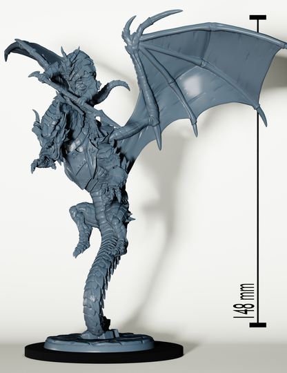 Set Draconiens Chevaucheur de Dragon