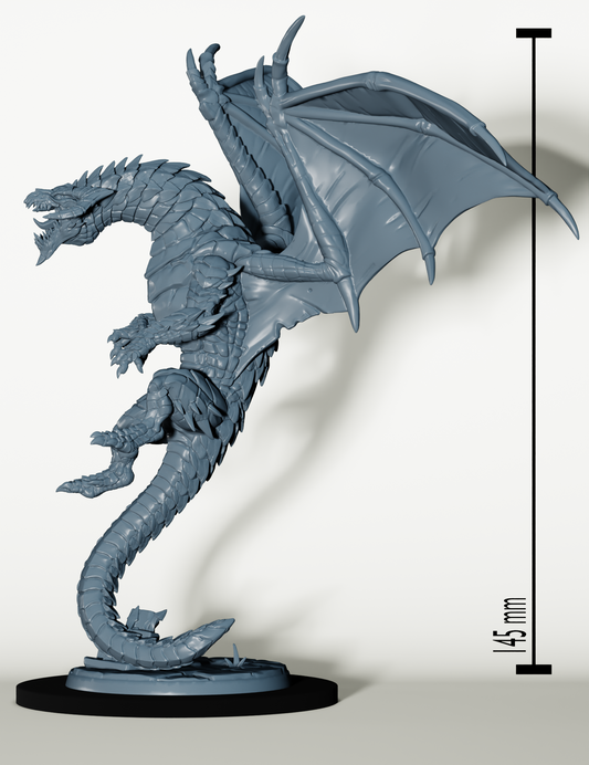 Set Draconiens Chevaucheur de Dragon