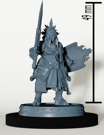 Set Paladins des Cendres Maudites