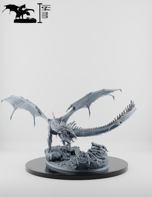 La Chasse du Dragon Noir